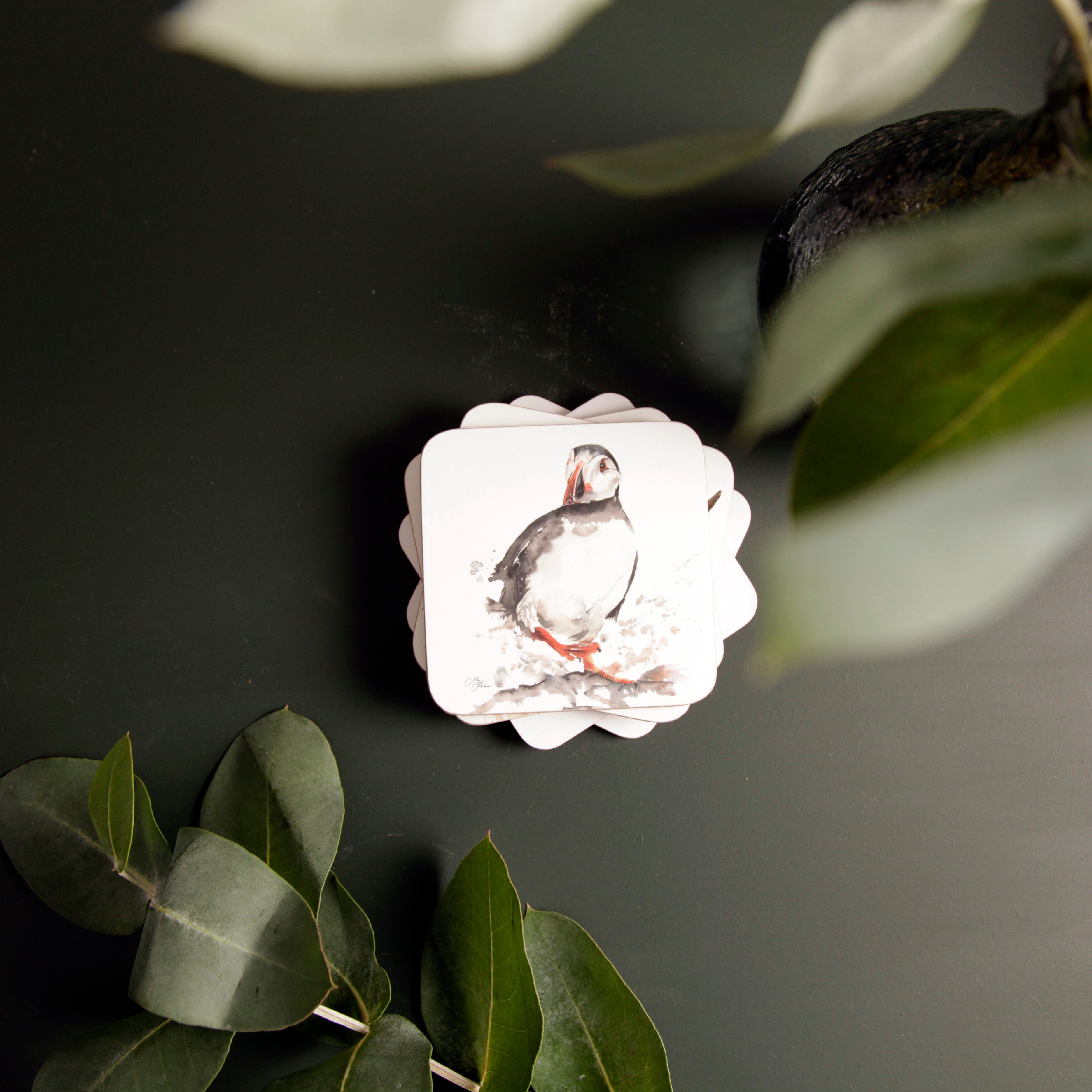 Puffin Coaster by Meg Hawkins