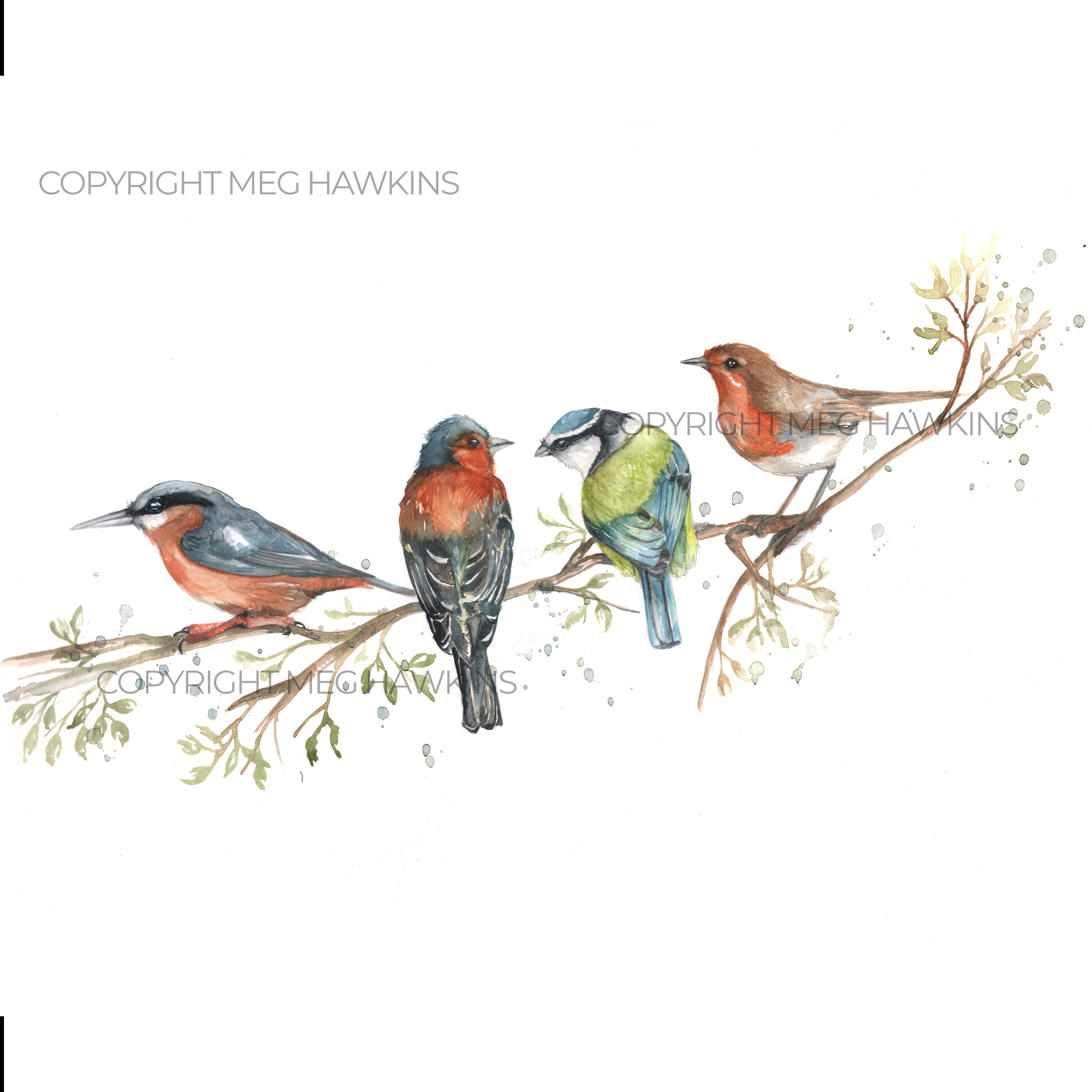 British Birds Design Splashback