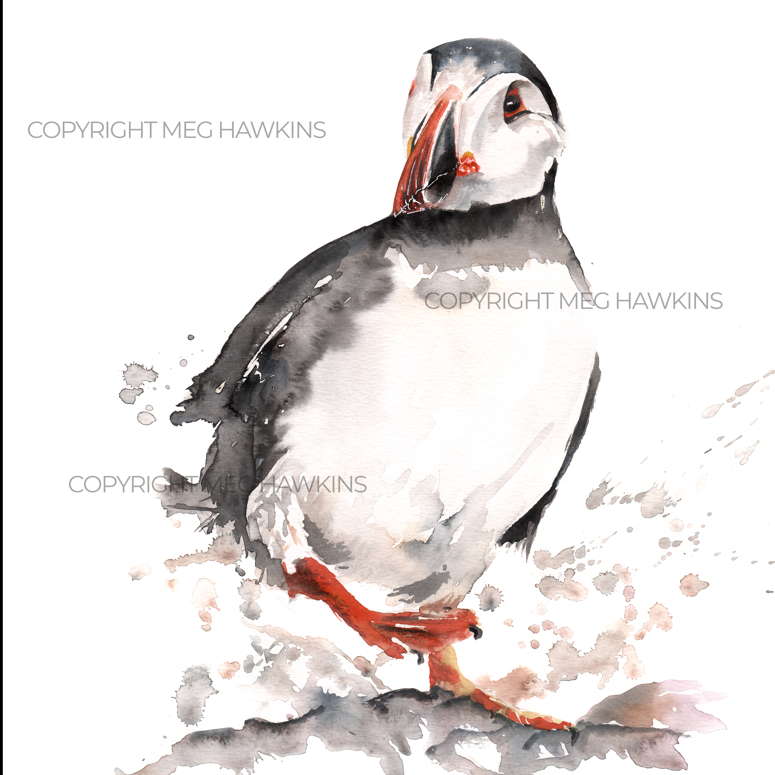 Puffin Design Splashback