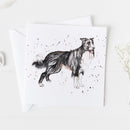 Border Collie Greeting Card