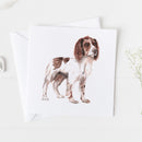 Springer Spaniel Card