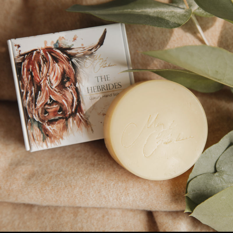 Highland Cow Design Hand Soap By Meg Hawkins