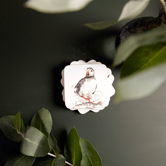Puffin Coaster by Meg Hawkins