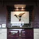 Kingfisher Design Splashback