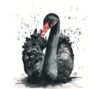 Trentham Black Swan Card