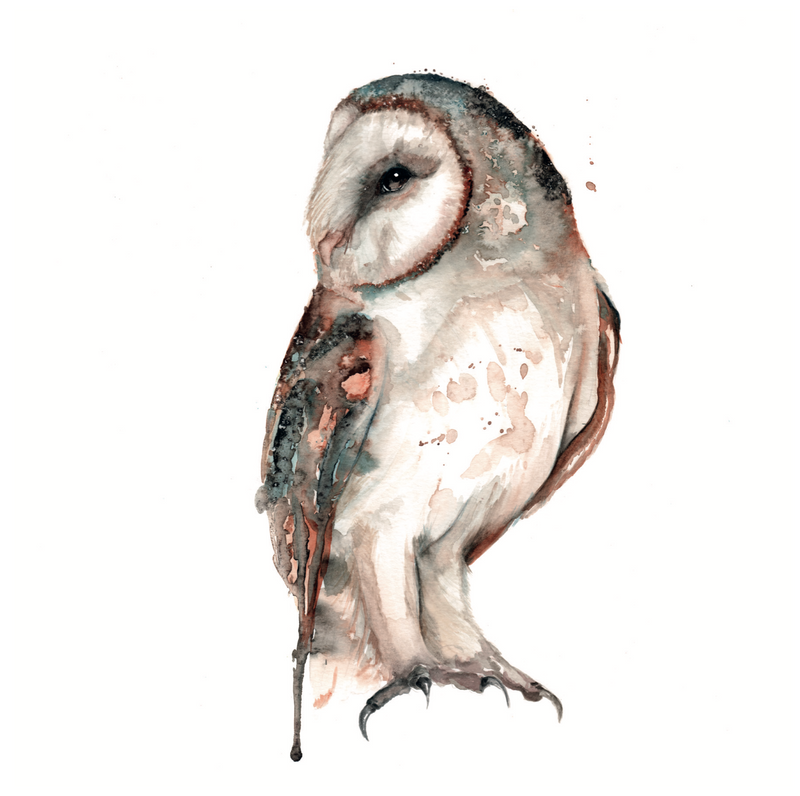 Trentham Owl Card