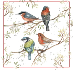 CUSHION - British birds