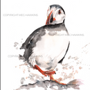 Puffin Design Splashback