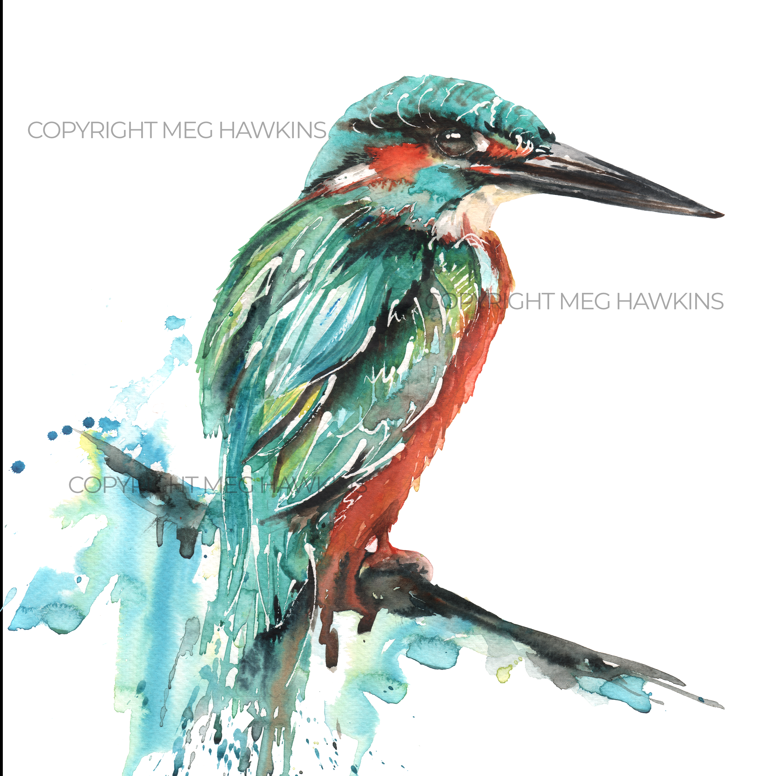 Kingfisher Design Splashback