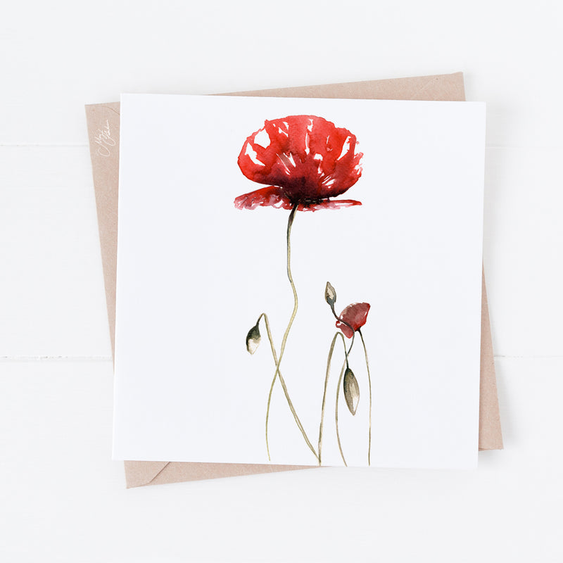 The Poppy Flower Card By Meg Hawkins, the Symbol Remembrance.