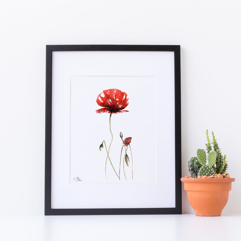 The Poppy Flower,the symbol of remembrance,Water colour A4 Mounted print with 14 x 11" Mount (Frame not included) By Meg Hawkins