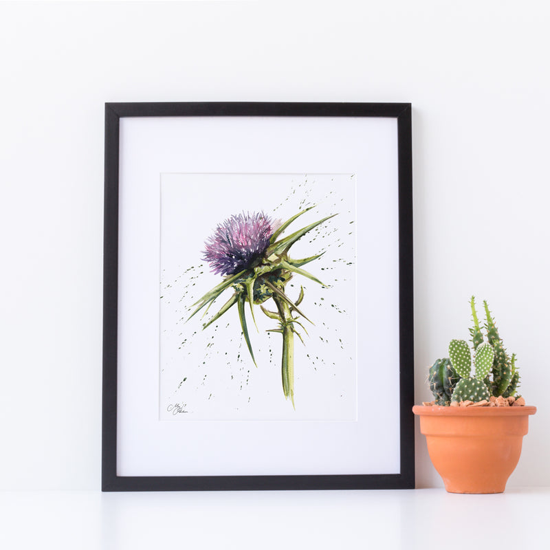 Cotton Thistle Water colour A4 Mounted print with 14 x 11" Mount (Frame not included) By Meg Hawkins, The Thistle Symbol in Scotland and the celtic Regions devotion, Bravery, Determination and Strength