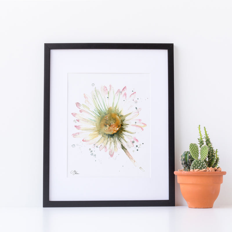 Daisy Flower Water colour A4 Mounted print with 14 x 11" Mount (Frame not included) By Meg Hawkins