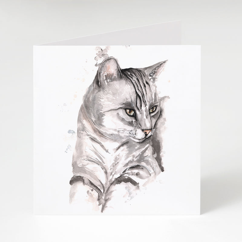 Grey Cat Watercolour
