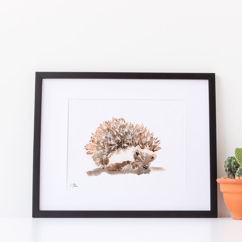 Hedgehog A4 Mounted print with 14 x 11" Mount (Frame not included) By Meg Hawkins