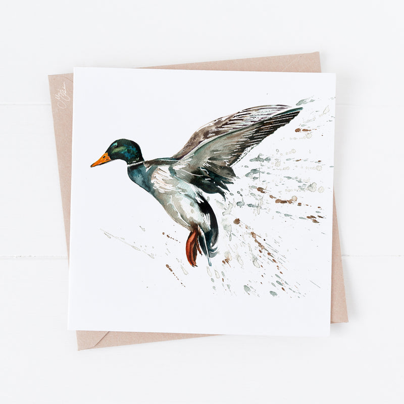 Mallard Greeting Card By Meg Hawkins