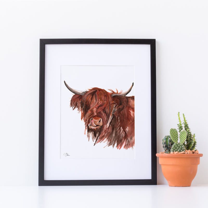 Highland Cow A4 Mounted print with 14 x 11" Mount (Frame not included) 