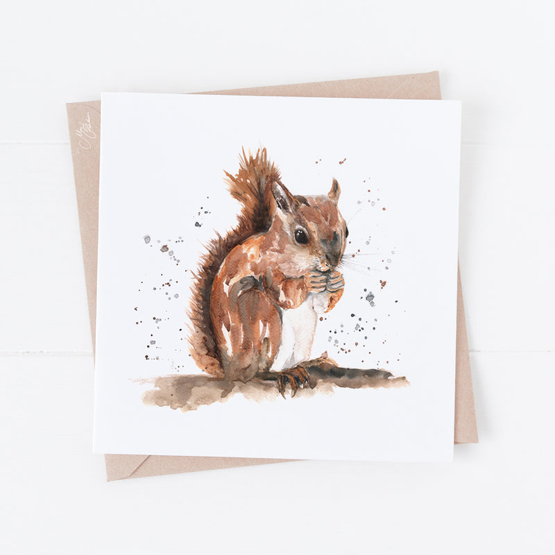 Red Squirrel Greeting Card By Meg Hawkins