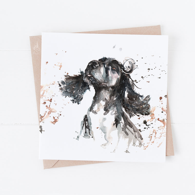 Cocker Spaniel Greeting Card By Meg Hawkins