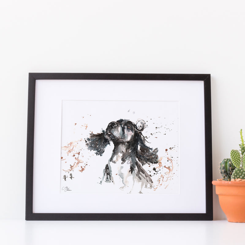 Cocker Spaniel A4 Mounted print with 14 x 11" Mount (Frame not included) By Meg Hawkins