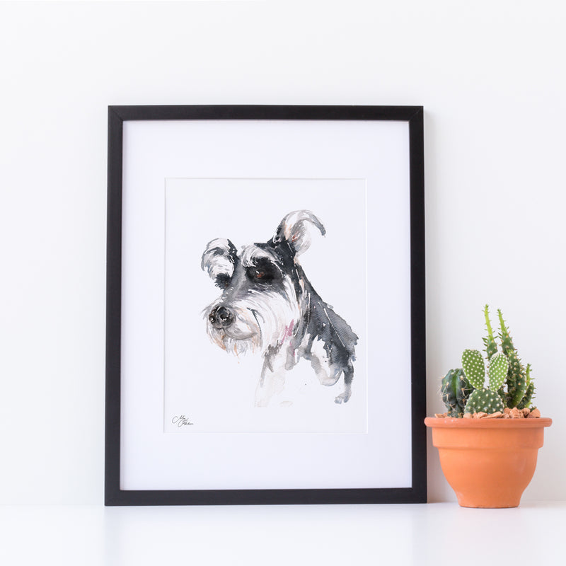 Schnauzer Water colour A4 Mounted print with 14 x 11" Mount (Frame not included) By Meg Hawkins