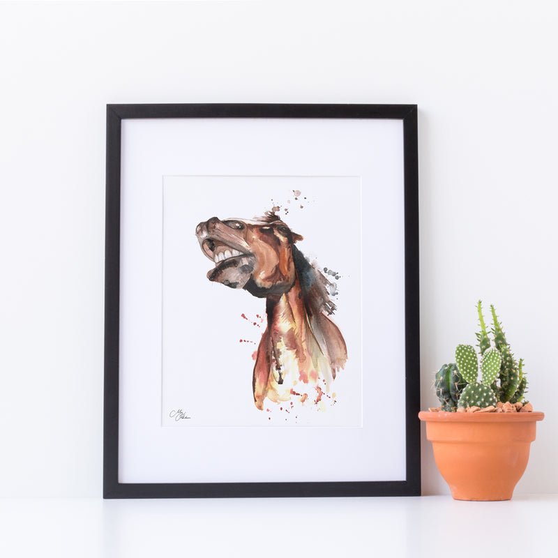 Smiling Horse Water colour A4 Mounted print with 14 x 11" Mount (Frame not included) By Meg Hawkins