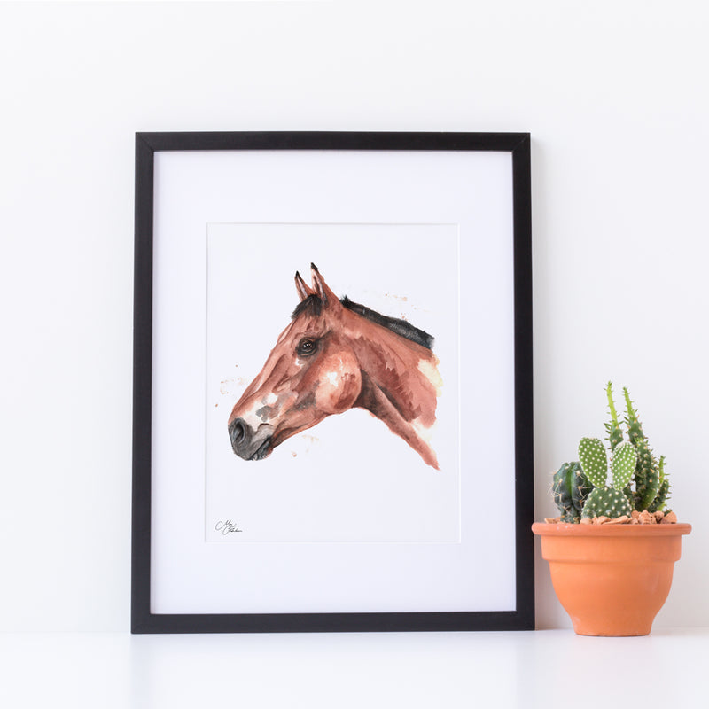 Horse Water colour A4 Mounted print with 14 x 11" Mount (Frame not included) By Meg Hawkins