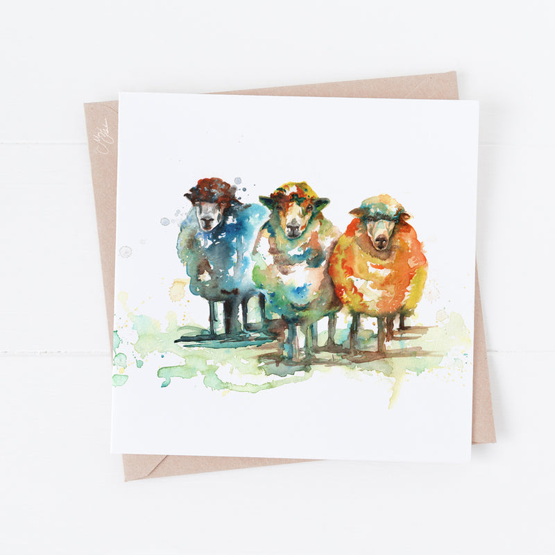 Sheep Greeting Cards By Meg Hawkins