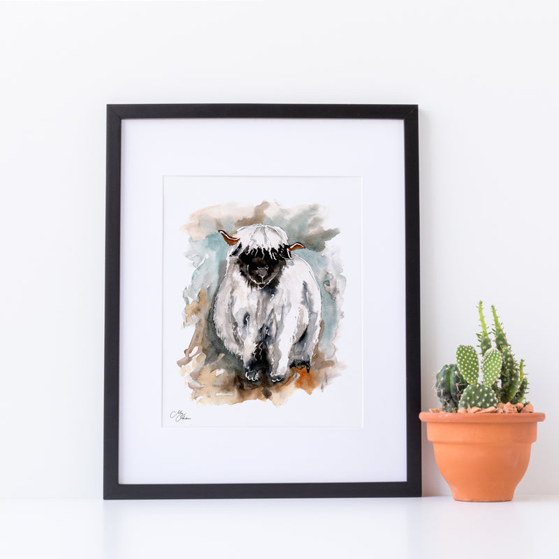 Valais Sheep A4 Mounted print with 14 x 11" Mount (Frame not included) By Meg Hawkins