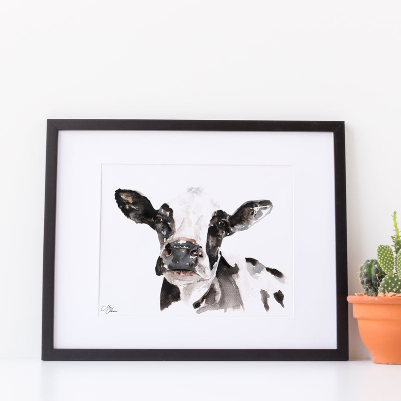 Friesian Cow A4 Mounted print with 14 x 11" Mount (Frame not included) By Meg Hawkins