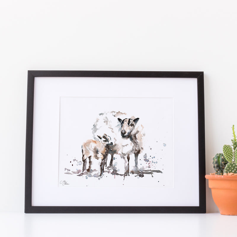 Badger Sheep A4 Mounted print with 14 x 11" Mount (Frame not included) By Meg Hawkins