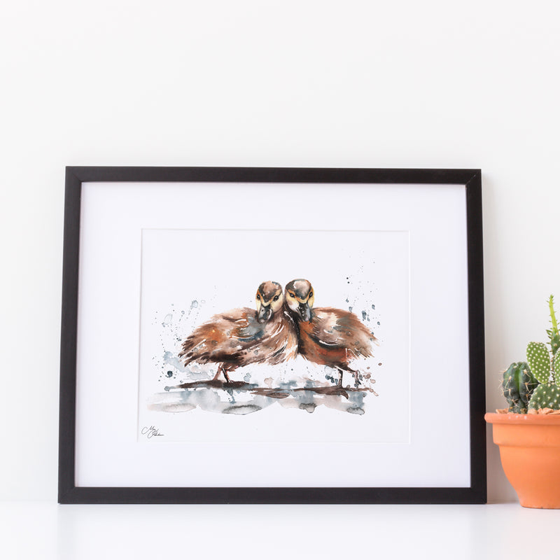 Duck A4 Mounted print with 14 x 11" Mount (Frame not included) By Meg Hawkins