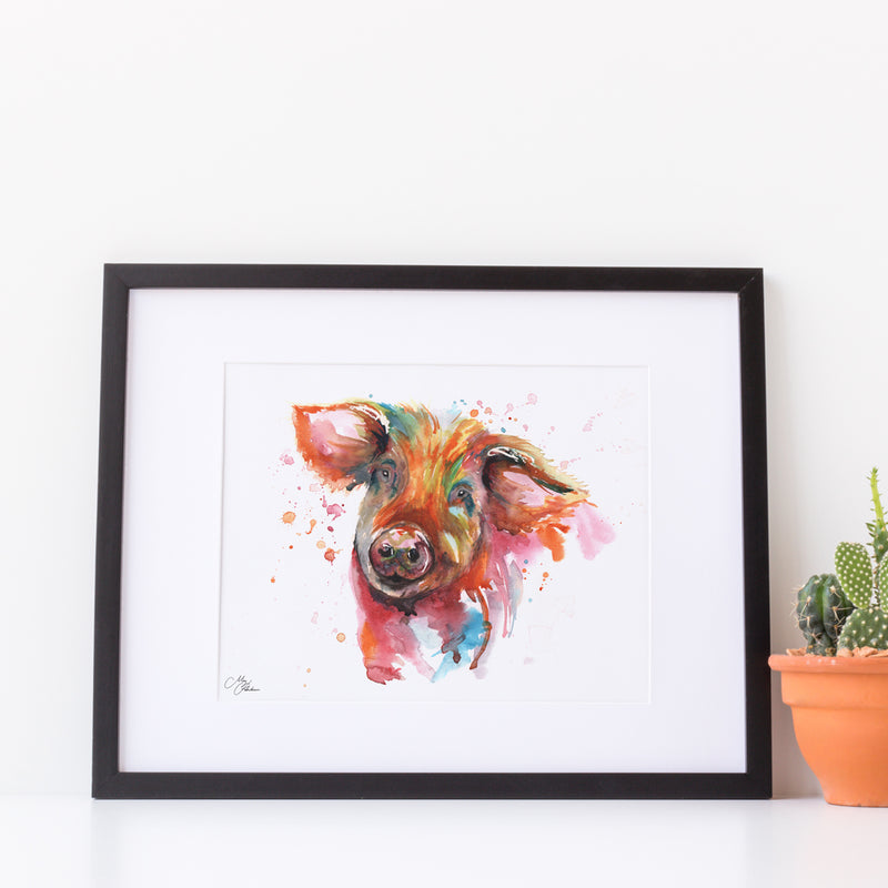 Pig A4 Mounted print with 14 x 11" Mount (Frame not included) By Meg Hawkins