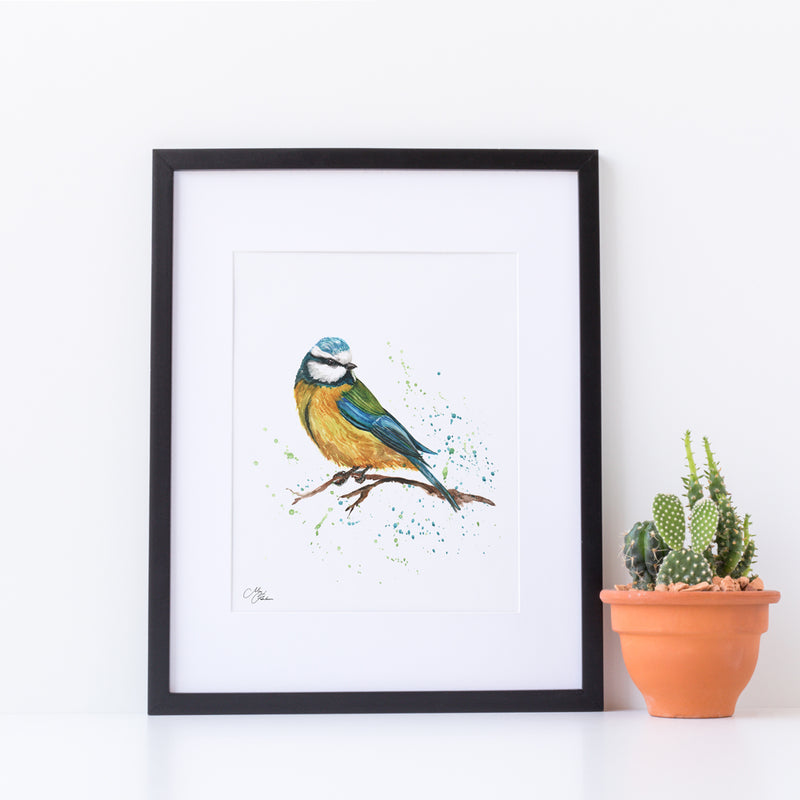 British Birds, Blue Tit Water colour A4 Mounted print with 14 x 11" Mount (Frame not included) By Meg Hawkins