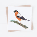 British Birds ,Bull Finch Greeting Cards By Meg Hawkins