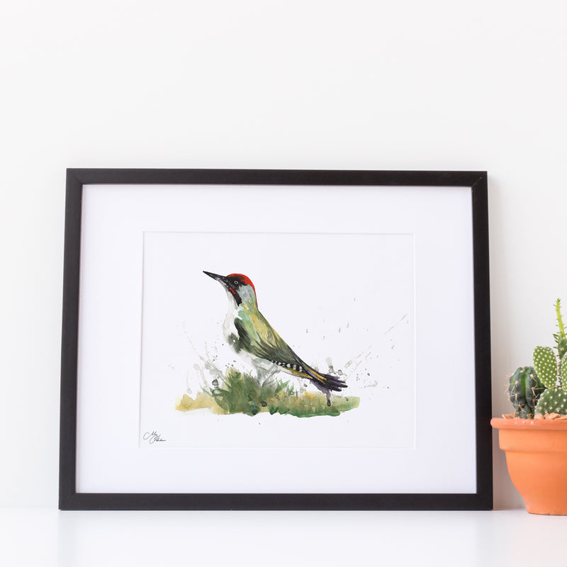 Woodpecker