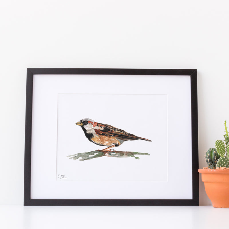 Sparrow