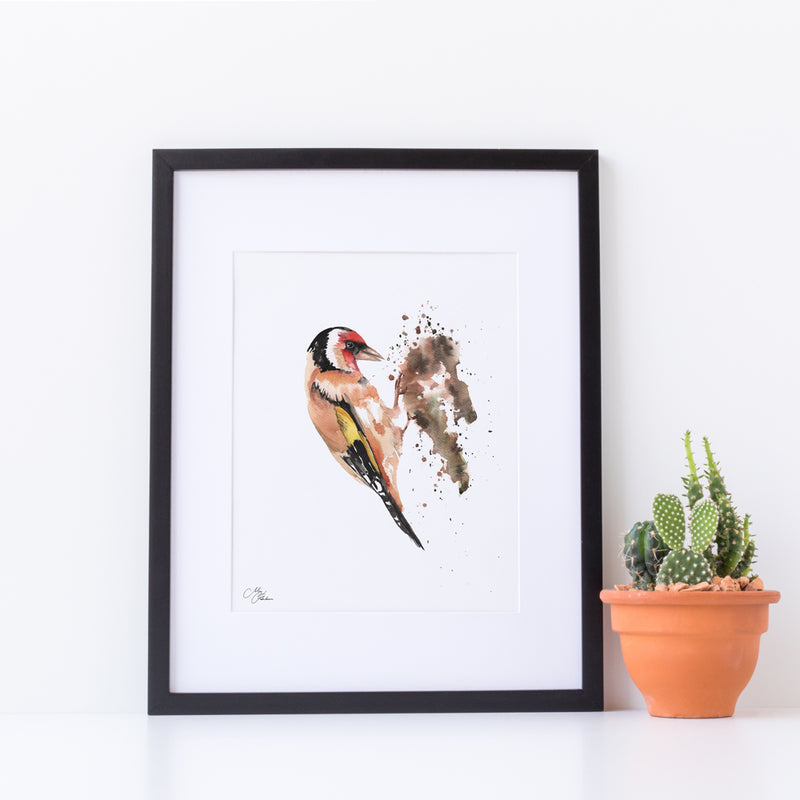 Gold Finch