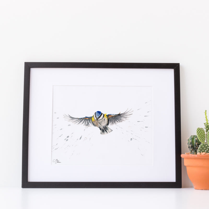 Blue Tit Water colour A4 Mounted print with 14 x 11" Mount (Frame not included) By Meg Hawkins
