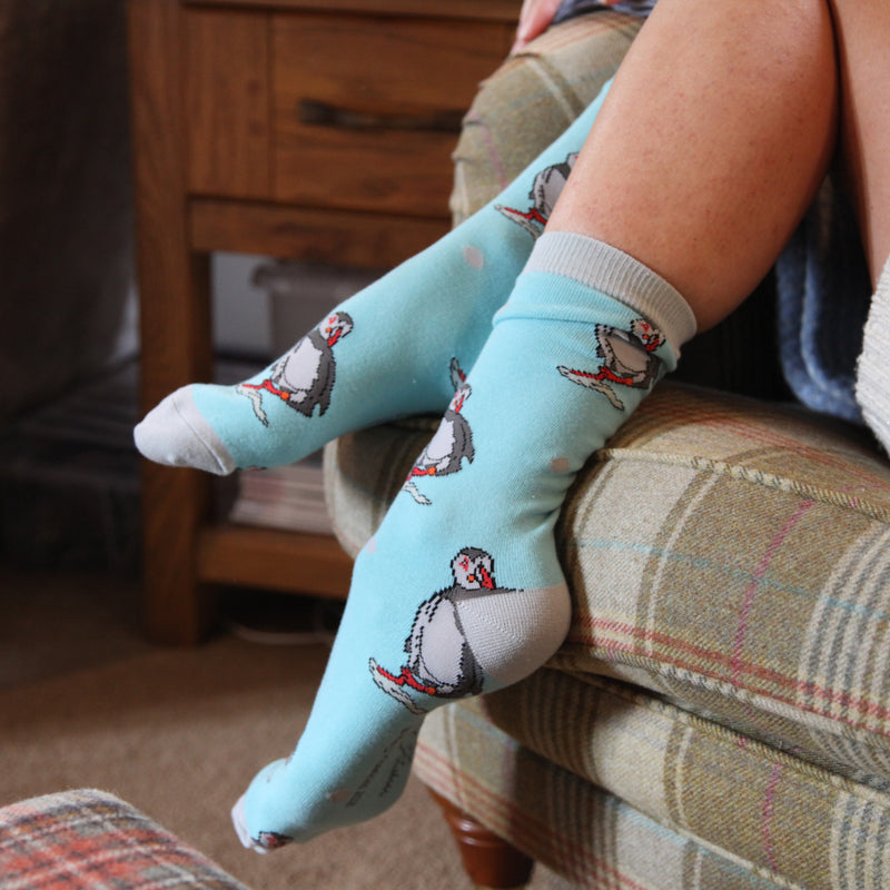 Puffin Design Socks by Meg Hawkins