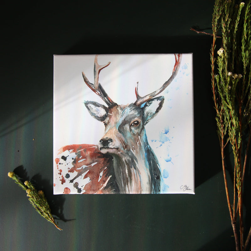 Stag Watercolour Canvas