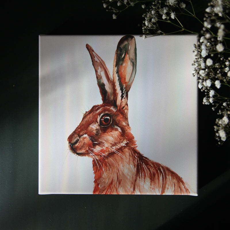 Hare Design Watercolour Canvas