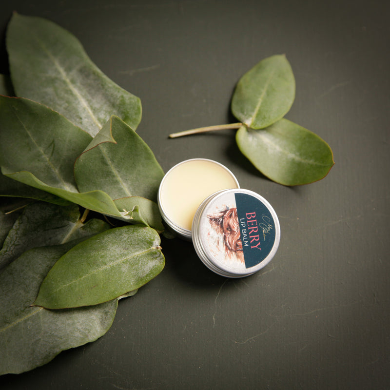 Highland Cow Lip Balm by Meg Hawkins