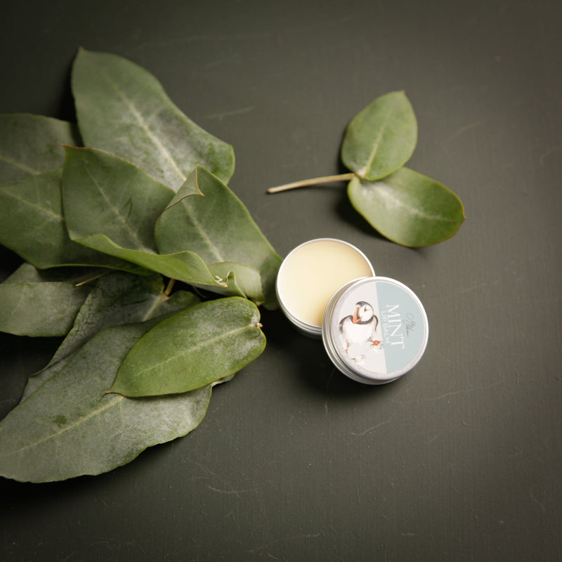 Mint Lip Balm With Puffin Design
