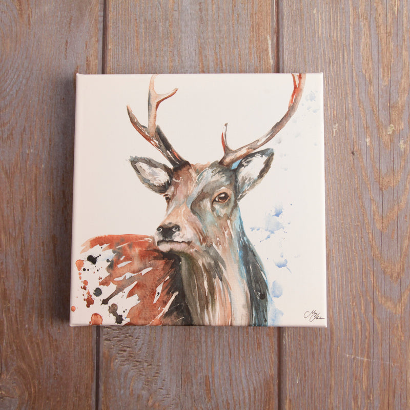 Stag Watercolour Canvas