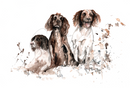 Spaniels Design Splashback