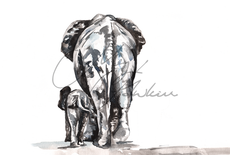 Elephant Design Splashback