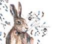 Hare Design Splashback