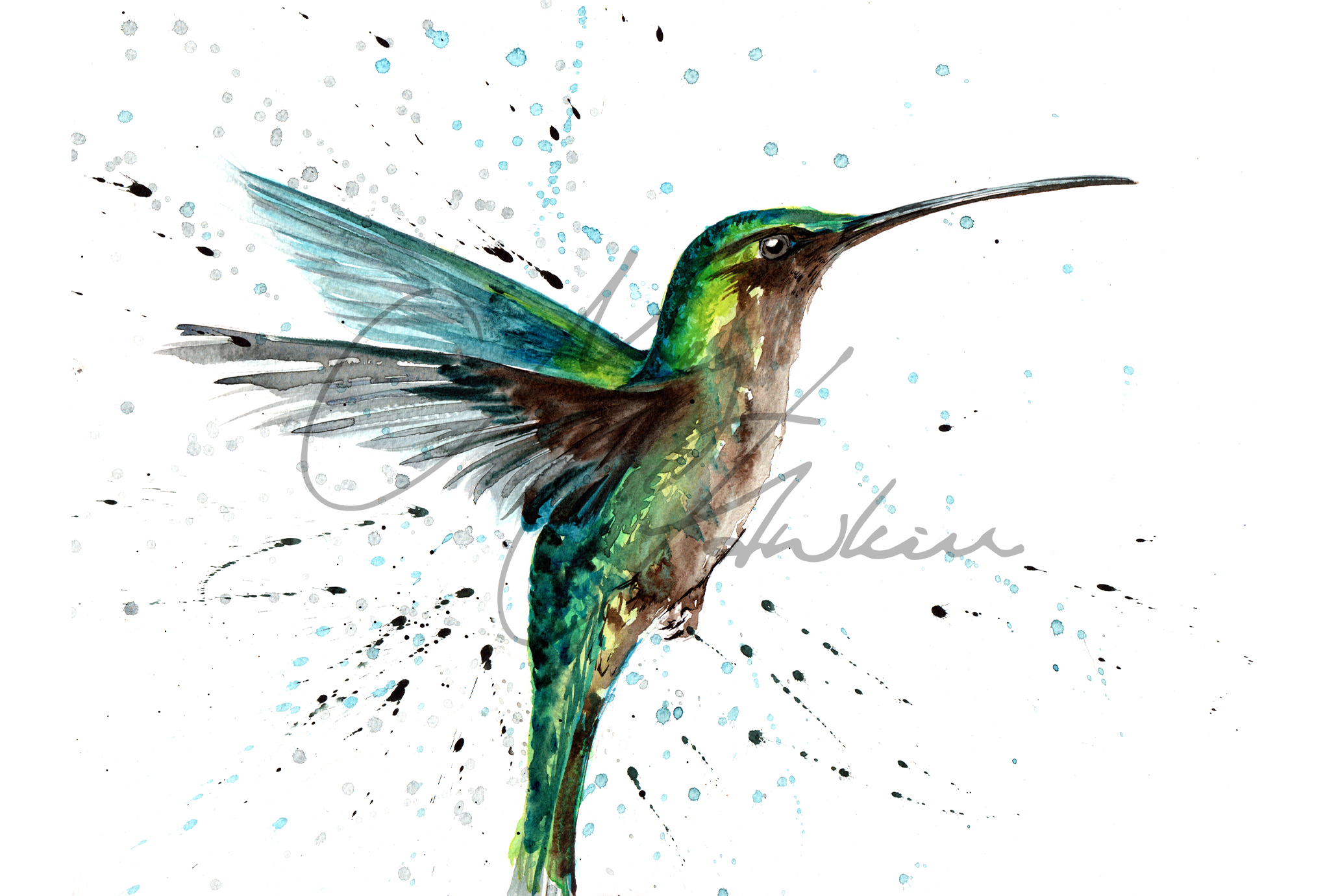 Hummingbird Design Splashback