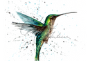 Hummingbird Design Splashback